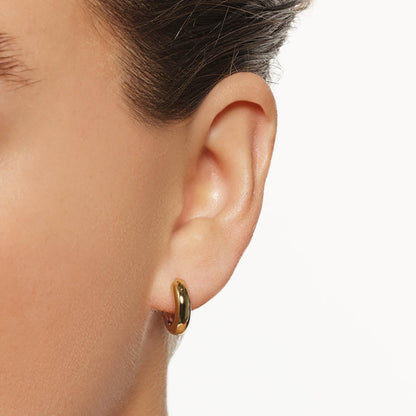 Two-Tone Hoop Earrings